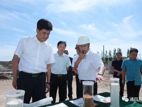 ͨ�|��ί�I(l��ng)�����^�����(n��i)�ɹ�ͨ�ķ��r(n��ng)�I(y��)�Ƽ����޹�˾