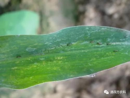 ���הQ����ô�k����ץ�o��Q��Ӱ푮a(ch��n)��!!!