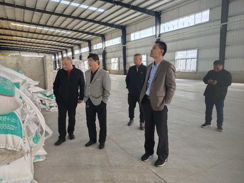 �͑��S���^��Ƭ