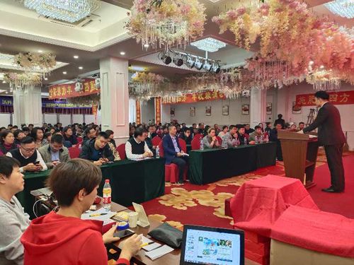 ������ӆ؛����Ƭ